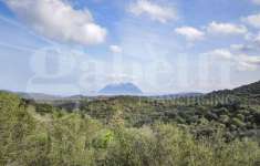 Foto Rustico in vendita a Olbia
