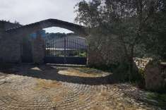 Foto Rustico in vendita a Oliena