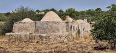 Foto Rustico in vendita a Ostuni