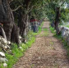 Foto Rustico in vendita a Ragusa