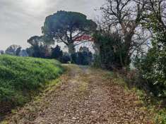 Foto Rustico in vendita a Recanati