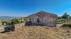 Foto Rustico in vendita a Roccastrada