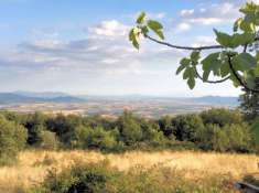Foto Rustico in vendita a Roccastrada