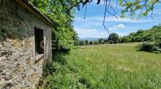 Foto Rustico in vendita a Roccastrada