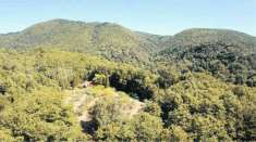 Foto Rustico in vendita a Roccastrada