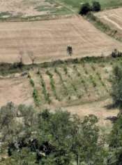 Foto Rustico in vendita a San Leo