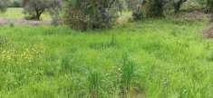 Foto Rustico in vendita a San Lorenzo a Vaccoli - Lucca 70 mq  Rif: 1317066