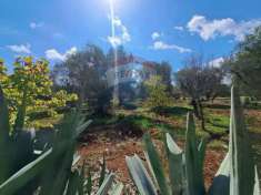 Foto Rustico in vendita a San Michele Salentino