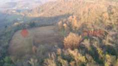 Foto Rustico in vendita a Sarego