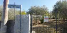 Foto Rustico in vendita a Sassari