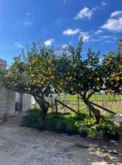 Foto Rustico in vendita a Scicli