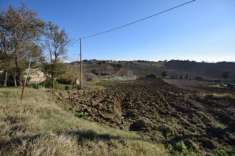 Foto Rustico in vendita a Senigallia