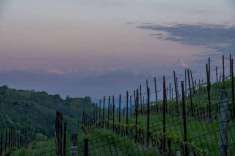 Foto Rustico in vendita a Serravalle Langhe