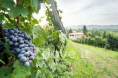 Foto Rustico in vendita a Sorisole