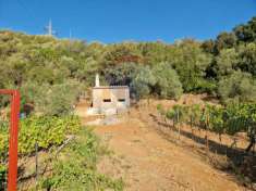 Foto Rustico in vendita a Teulada
