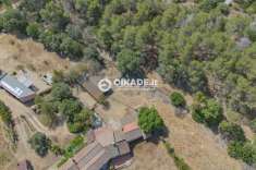 Foto Rustico in vendita a Teulada