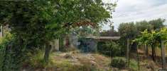 Foto Rustico in vendita a Tollo
