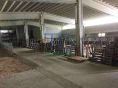 Foto Rustico in vendita a Travo