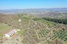 Foto Rustico in vendita a Umbertide