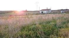 Foto Rustico in vendita a Uri
