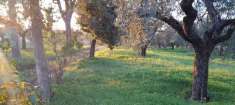 Foto Rustico in vendita a Velletri
