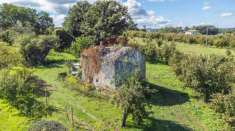 Foto Rustico in vendita a Vetralla