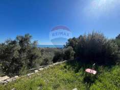 Foto Rustico in vendita a Vieste