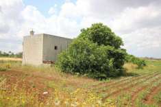 Foto Rustico in vendita a Zollino
