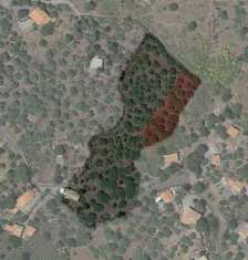 Foto RUSTICO PALMENTO