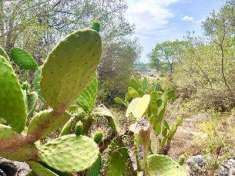 Foto Rustico/Casale in Vendita, 1 Locale, 56 mq, Siracusa (Epipoli)
