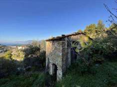 Foto Rustico/Casale in Vendita, 2 Locali, 100 mq, Bordighera