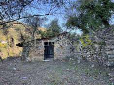 Foto Rustico/Casale in Vendita, 2 Locali, 45 mq, Vallebona