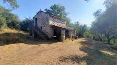Foto Rustico/Casale in Vendita, 3 Locali, 15000 mq, Monte San Giovann