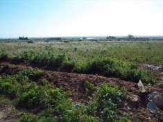 Foto Rustico/Casale in Vendita, 3 Locali, 80 mq, Marsala (Periferia l