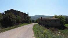 Foto Rustico/Casale in Vendita, pi di 6 Locali, 1055 mq, Cortona