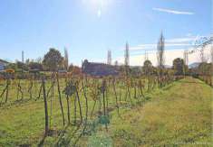 Foto Rustico/Casale in Vendita, pi di 6 Locali, 120 mq, Villafranca