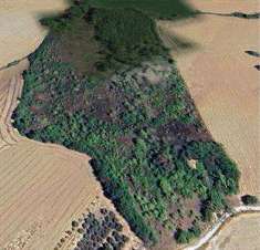 Foto Rustico/Casale in Vendita, pi di 6 Locali, 137 mq, Belvedere Os
