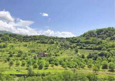 Foto Rustico/Casale in Vendita, pi di 6 Locali, 380 mq, Pontremoli