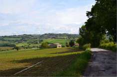 Foto Rustico/Casale in Vendita, pi di 6 Locali, 400 mq, Cartoceto