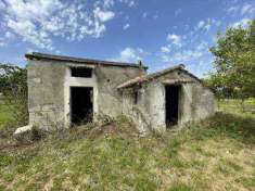 Foto Rustico/Casale/Corte in Vendita, 2 Locali, 50 mq (Fondi)