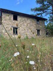 Foto Rustico/Casale/Corte in Vendita, 3 Locali, 134 mq (Assisi)