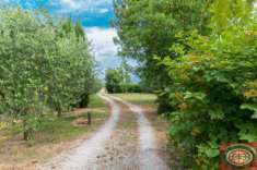 Foto S. Martino in Fiume (IS25): graziosa "attrezzaia" su lotto di 3000 mq