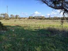 Foto Sassari vendesi terreno agricolo 17043 Mq