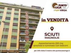 Foto SCIUTI - MAGNOLIE | 7 VANI LUMINOSO E AMPIO PIANO INTERMEDIO