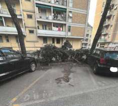 Foto Scoperto in vendita a Genova, Marassi