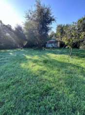 Foto SE cerchi una sistemazione a pochi km dal mare questo immobile fa per te. La propriet   completamente recintata giardino di 1000 metri dove troviamo