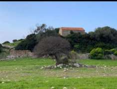 Foto Seminativo in vendita a Cuglieri