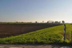 Foto Seminativo in vendita a Parma