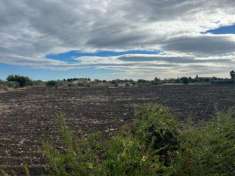 Foto Seminativo in vendita a Siracusa
