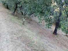 Foto Serravalle Pistoiese vendesi terreno agricolo 20000 Mq